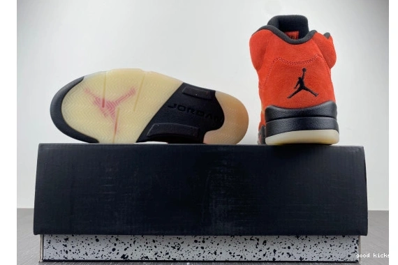 5 DD9336-800 on Jordan DD9336-800 Mars Retro Dunk 0501